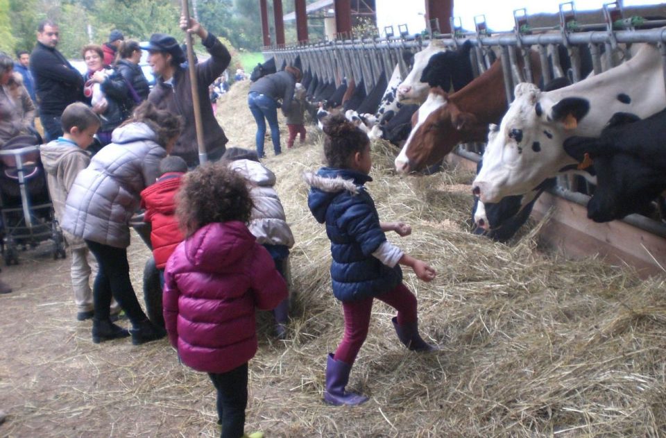 fermes pour enfants