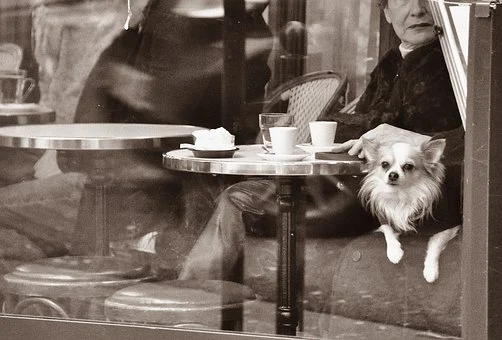 Bars Belleville Paris 20eme