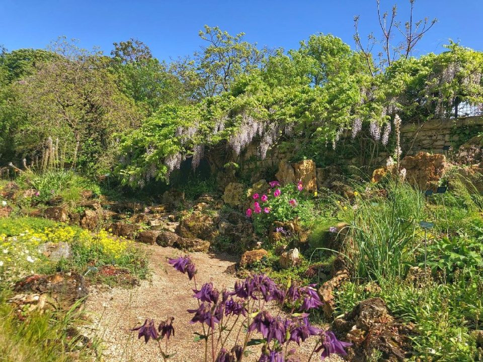 jardin alpin de paris