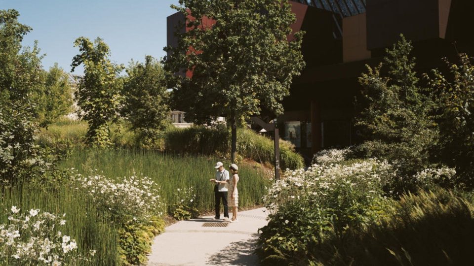 Jardins d’été du musée du Quai Branly